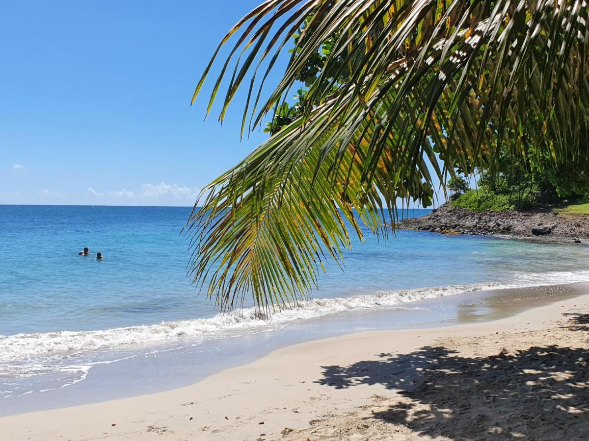 Ti Oasis Trinidad, Studio Vue Mer A Pierre & Vacances 圣吕斯 外观 照片